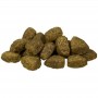 Сухий корм Bosch Adult Lamb & Rice 15 кг для дорослих собак з ягням та рисом