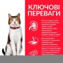 Сухий корм Hill's Science Plan Mature Adult 7+ 10 кг для старіючих котів з куркою