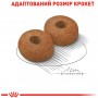 Сухий корм Royal Canin Maxi Ageing 8+ 15 кг для старіючих собак