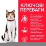 Сухий корм Hill's Science Plan Mature Adult 7+ 3 кг для старіючих котів з куркою