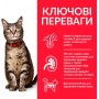Сухий корм Hill's Science Plan Adult 3 кг для дорослих котів з ягням