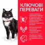 Сухий корм Hill's Science Plan Sterilised Mature Adult 7+ 10 кг для старіючих котів з куркою
