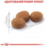 Сухий корм Royal Canin Sterilised 10 кг для дорослих котів