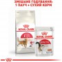 Сухий корм Royal Canin Fit 32 10 кг для домашніх та вуличних котів