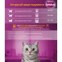 Сухий корм Whiskas 14 кг для дорослих котів з яловичиною