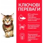 Сухий корм Hill's Science Plan Kitten 1.5 кг для кошенят з куркою