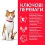 Сухий корм Hill's Science Plan Sterilised Cat Young Adult 10 кг для дорослих котів з куркою