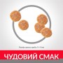 Сухий корм Hill's Science Plan Sterilised Cat Young Adult 10 кг для дорослих котів з куркою