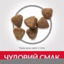 Сухий корм Hill's Science Plan Kitten 7 кг для кошенят з куркою
