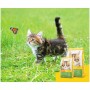 Сухий корм Josera Kitten grainfree 2 кг для кошенят беззерновий