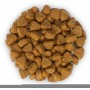 Сухий корм Hill's Science Plan Kitten 1.5 кг для кошенят з тунцем